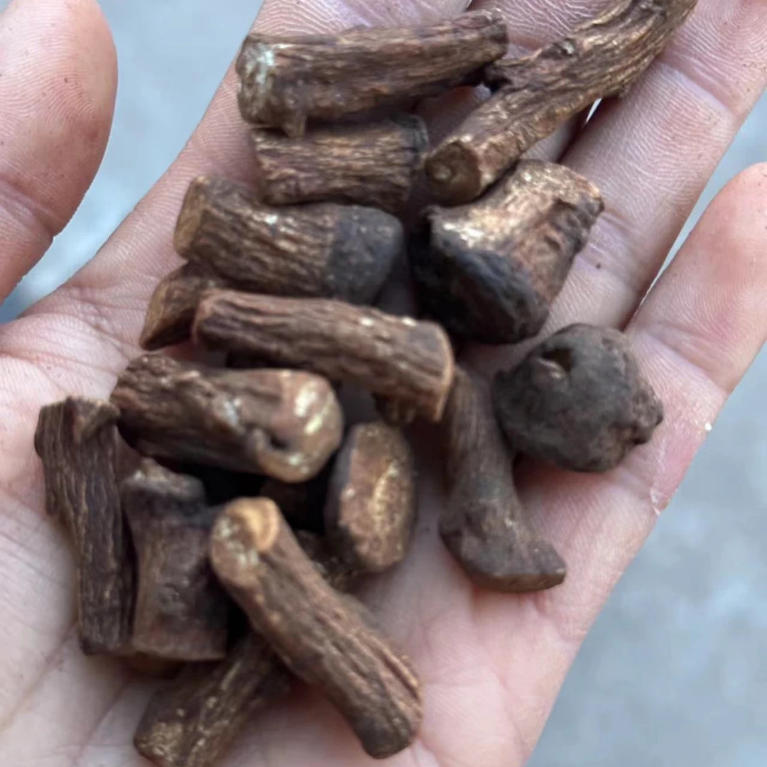 蒲公英根250g/500g根天然蒲公英根根茎