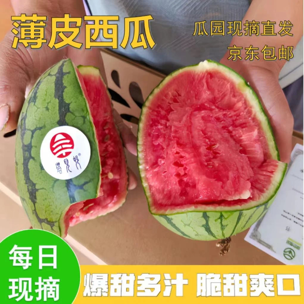塔儿村小西瓜绿色认证6斤-8斤 当季现摘头茬西瓜脆甜薄皮新鲜多汁
