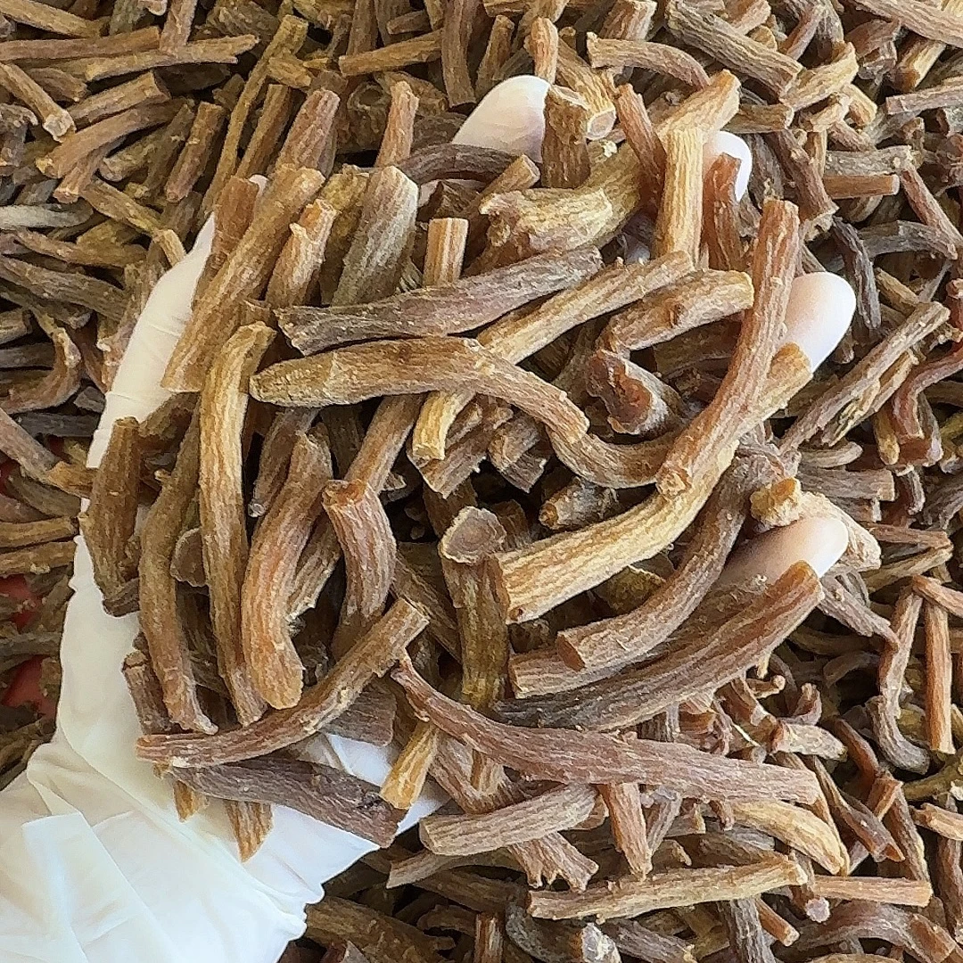 粉丝福利 高丽籽参尾  秋季滋补煲汤炖煮