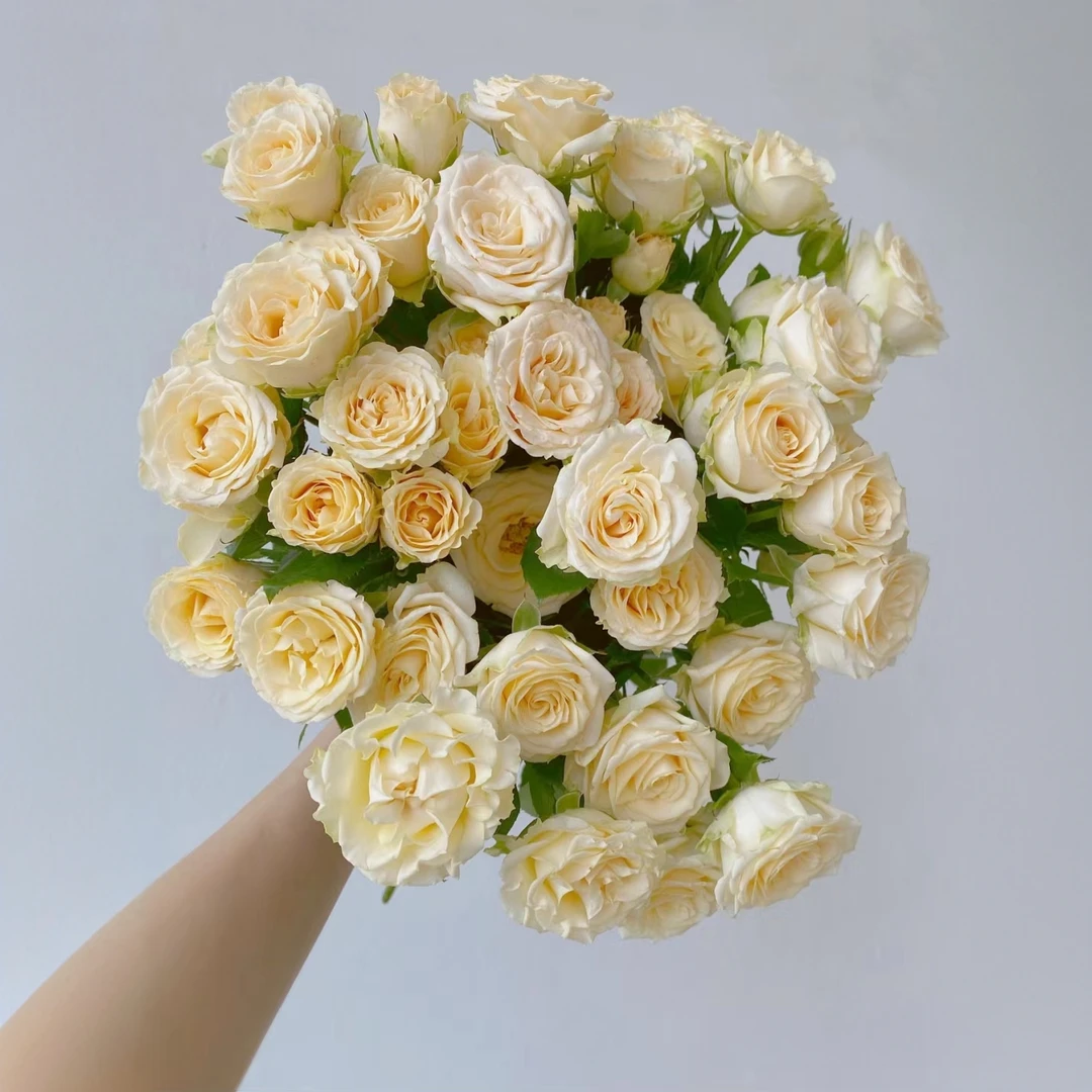 【秦小胖】和风多头玫瑰（注意：特殊花材  收到带包装醒花）