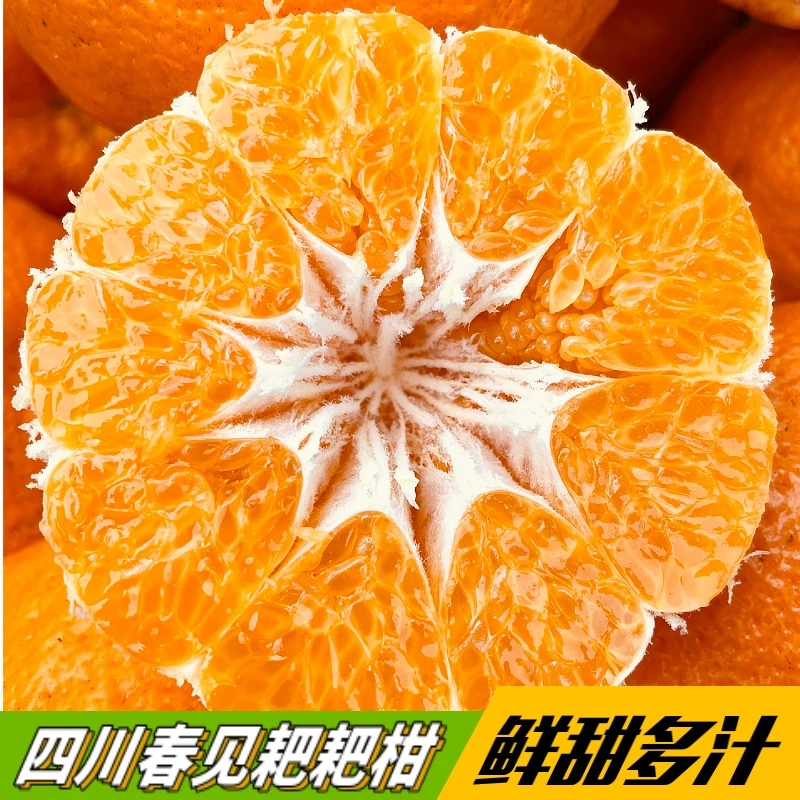 四川新鲜耙耙柑橘子基地当季成熟桔子皮薄多汁果粒饱满优质品种
