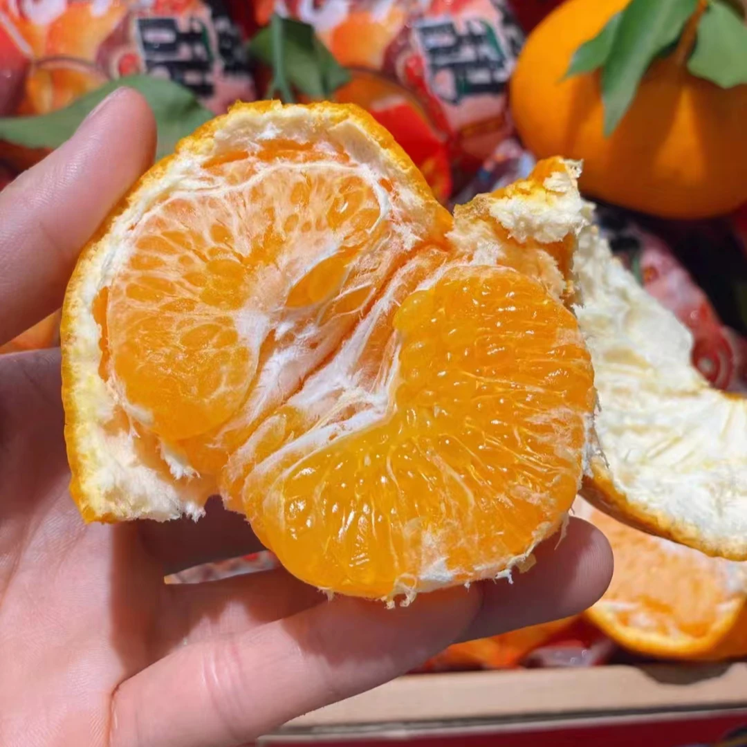 【哈果乐】四川A果耙耙柑（10斤）