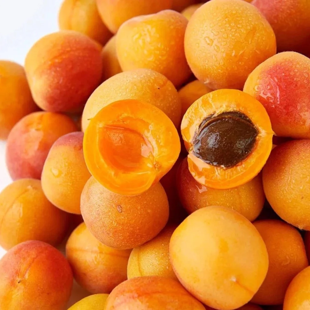 新疆小黄杏（1件）