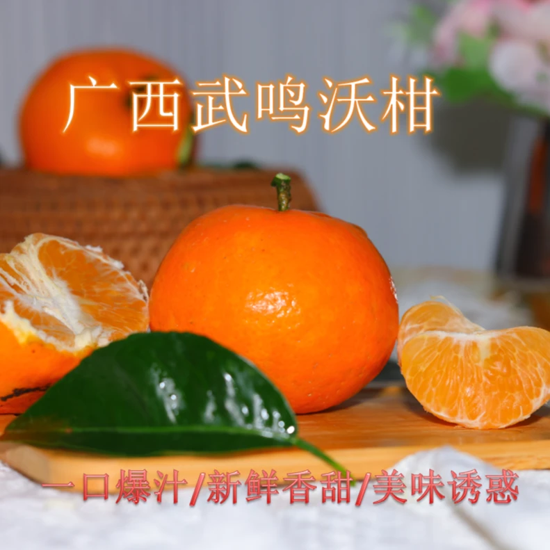 新鲜采摘广西武鸣沃柑当季新鲜水果香甜多汁产地直发柑橘3/5/9斤