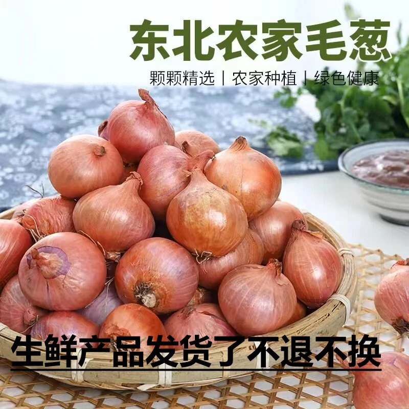 【福利】东北小毛葱  5斤
