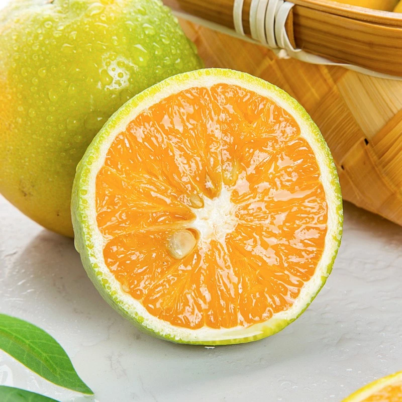 【源头优选】湖北秭归夏橙4.5斤装