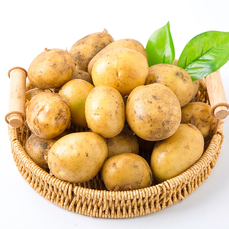 湖北新鲜小土豆5斤装软糯香醇黄心土豆