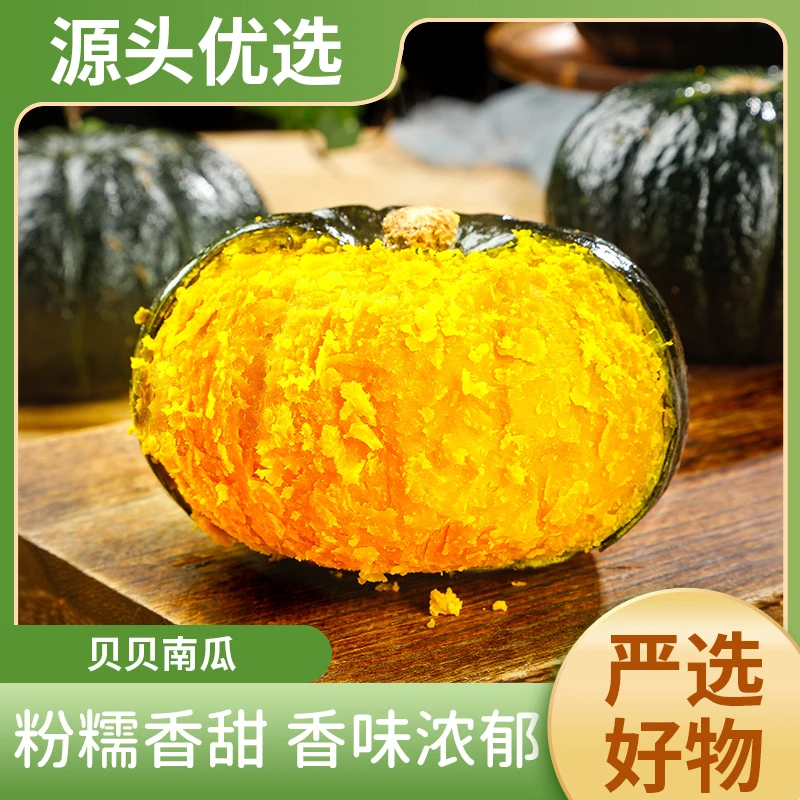贝贝南瓜4.5斤粉糯香甜板栗味健康粗粮