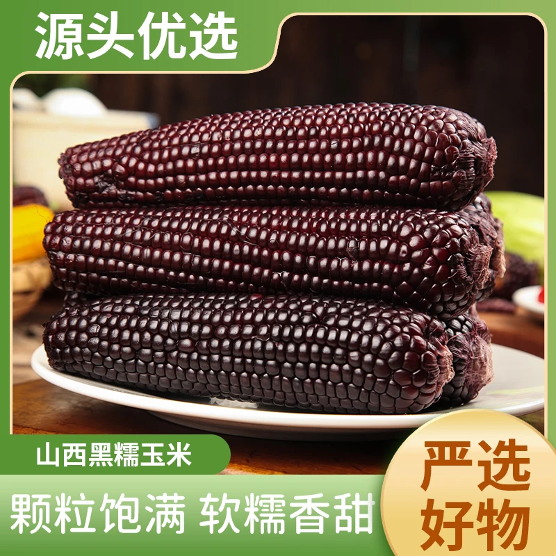 山西黑糯玉米8根（单支220g）颗粒饱满真空包装t