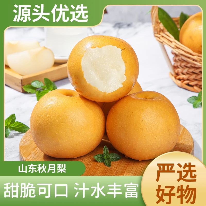 山东秋月梨4.5斤香甜多汁脆爽可口新鲜采摘