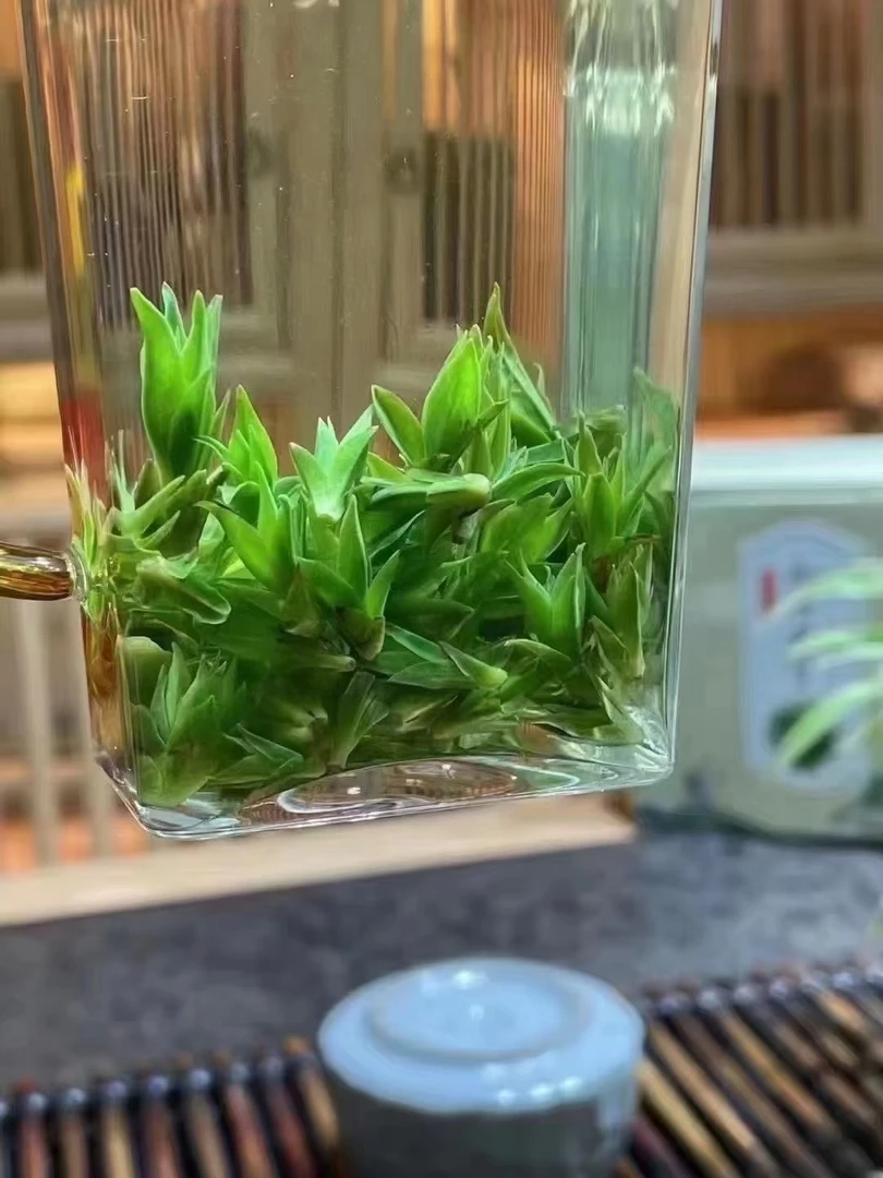 （K4）2025新茶青山绿水小叶苦丁125g/250g/500g
