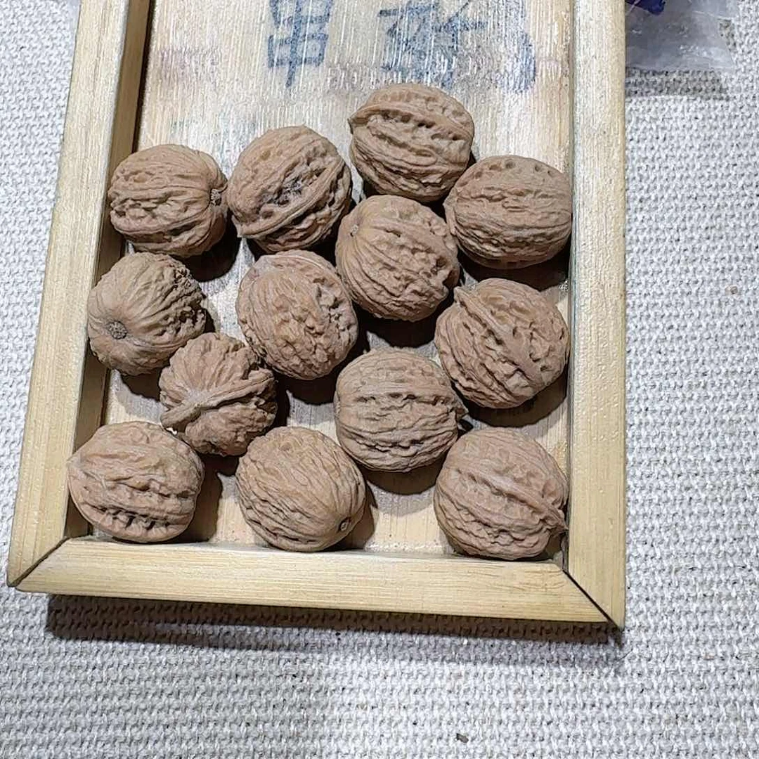 核桃核雕1号边22肚24高23