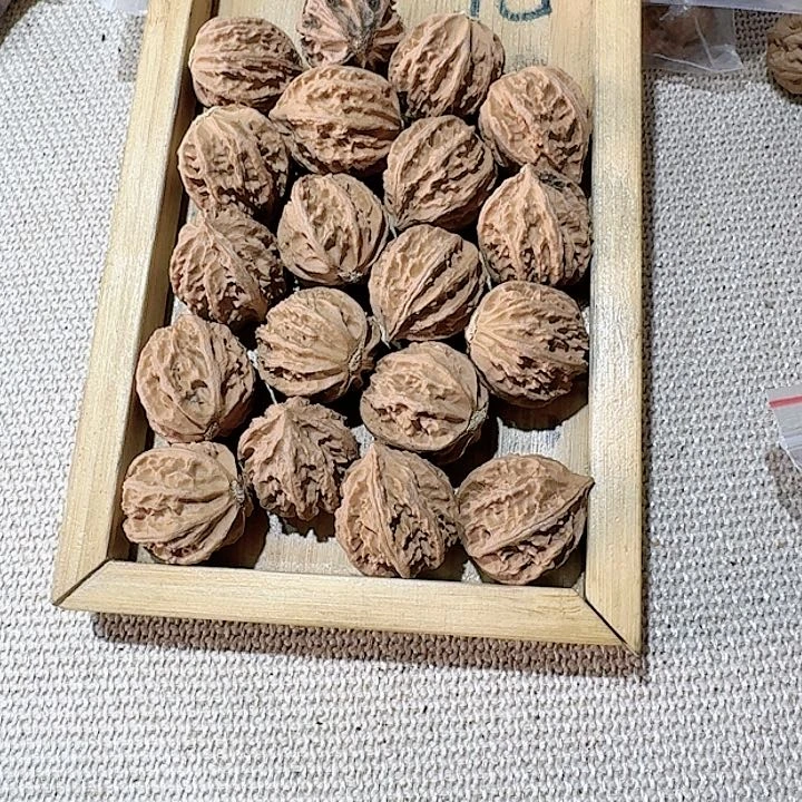 核桃核雕74号边24手持