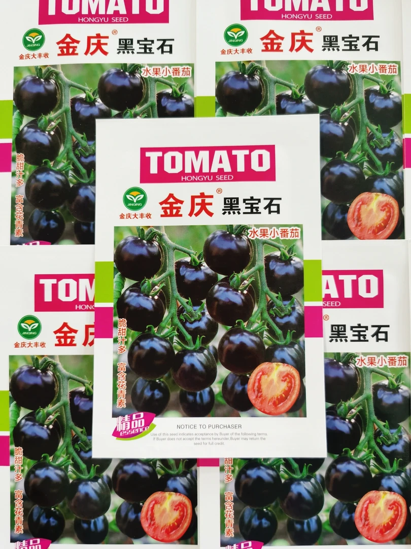 黑宝石小番茄种子