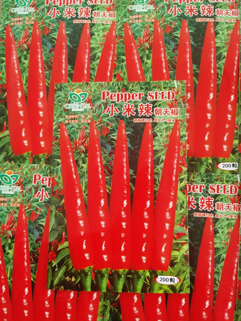 菜农大果型小米辣朝天椒200粒杂交种