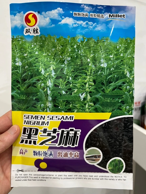 黑芝麻种子100克