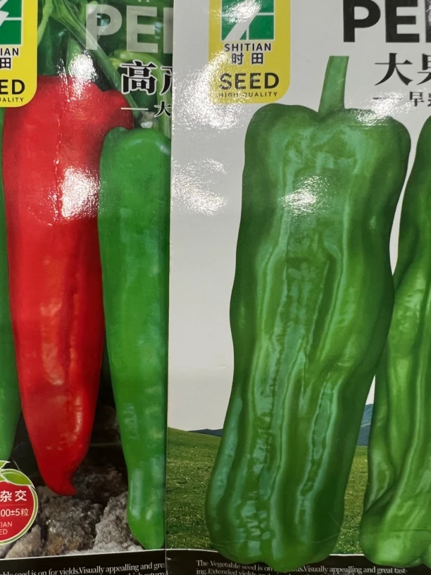 神牛,大果早优辣椒种子