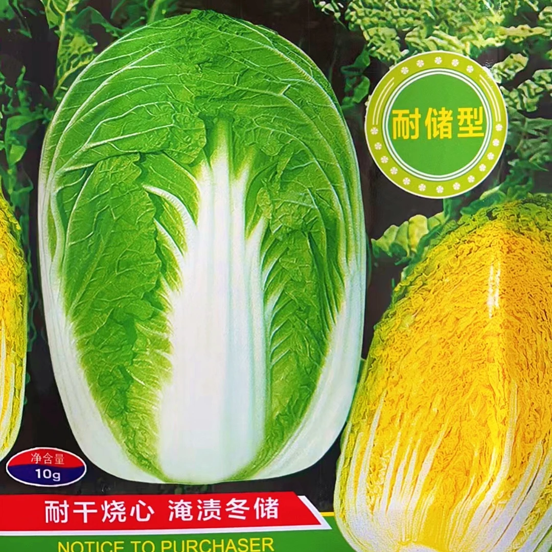 鑫峰黄心包心白菜种子