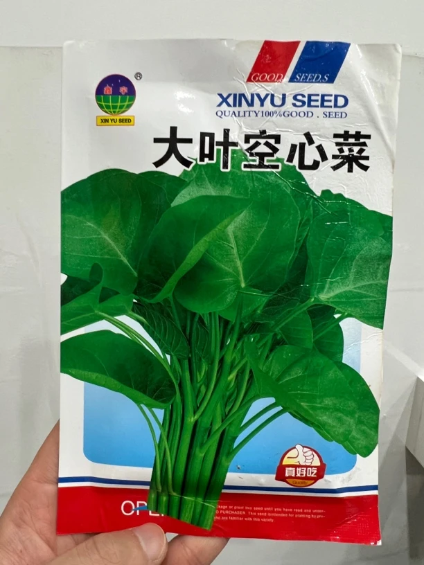 大叶空心菜种子3袋福利