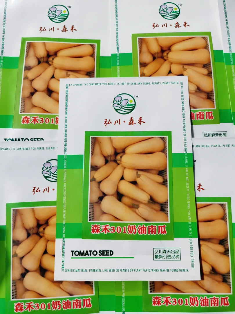 精选杂交奶油南瓜种子20粒