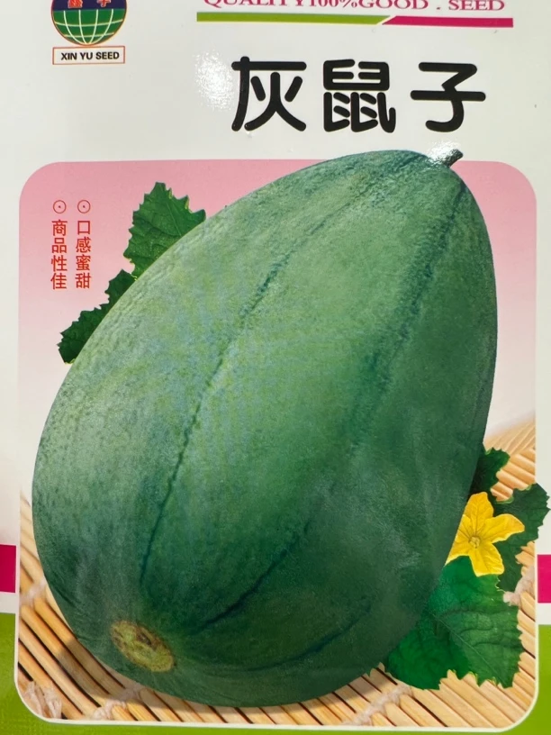 精选灰鼠子甜香瓜种子