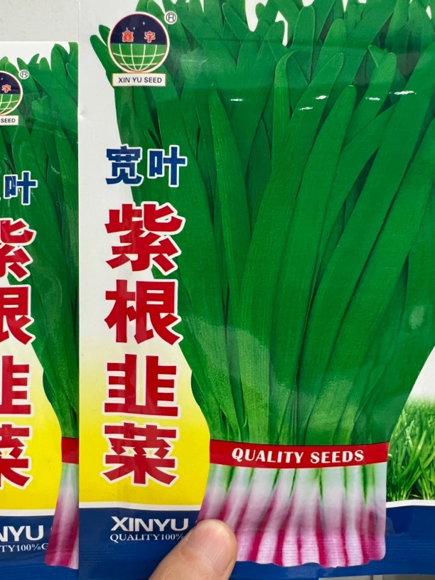 宽叶紫根韭菜种子2袋