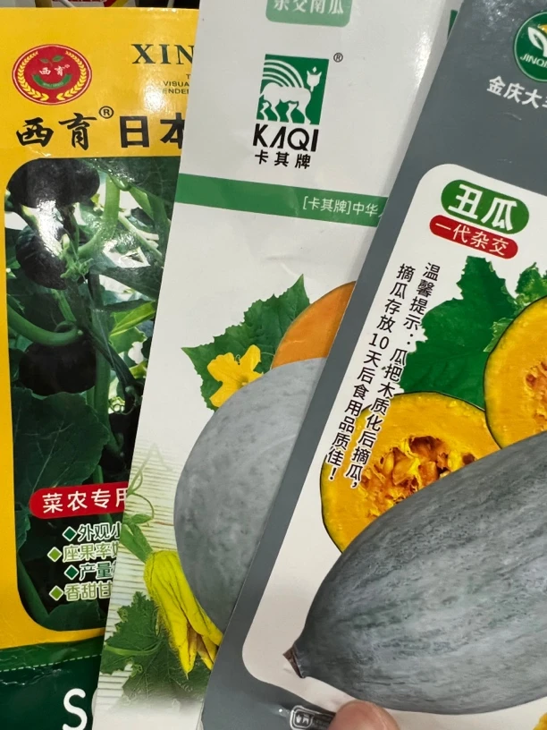 西育贝贝，金庆贵族，银栗南瓜种子