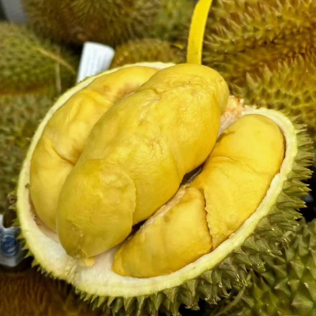 P【一号SF】一物一拍 途上有10-15%水分重量蒸发泰国金枕榴莲