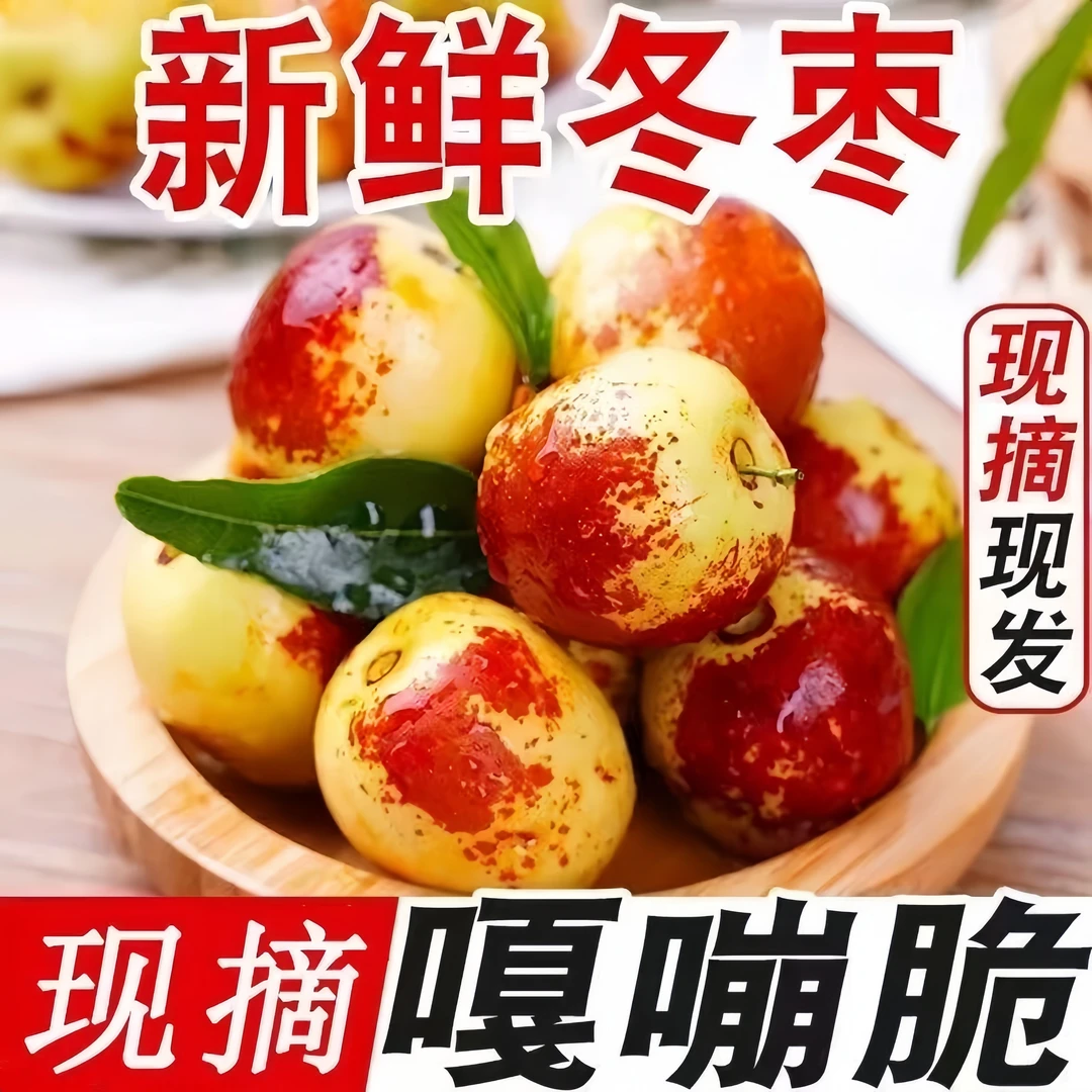 【沾化冬枣】小果 新鲜水果皮薄原产地脆甜冬枣皮薄自种