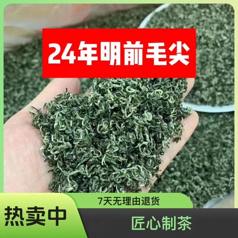 【 头春头采毛尖 】嫩芽叶毛尖 上犹绿茶赣南高山茶上犹毛尖