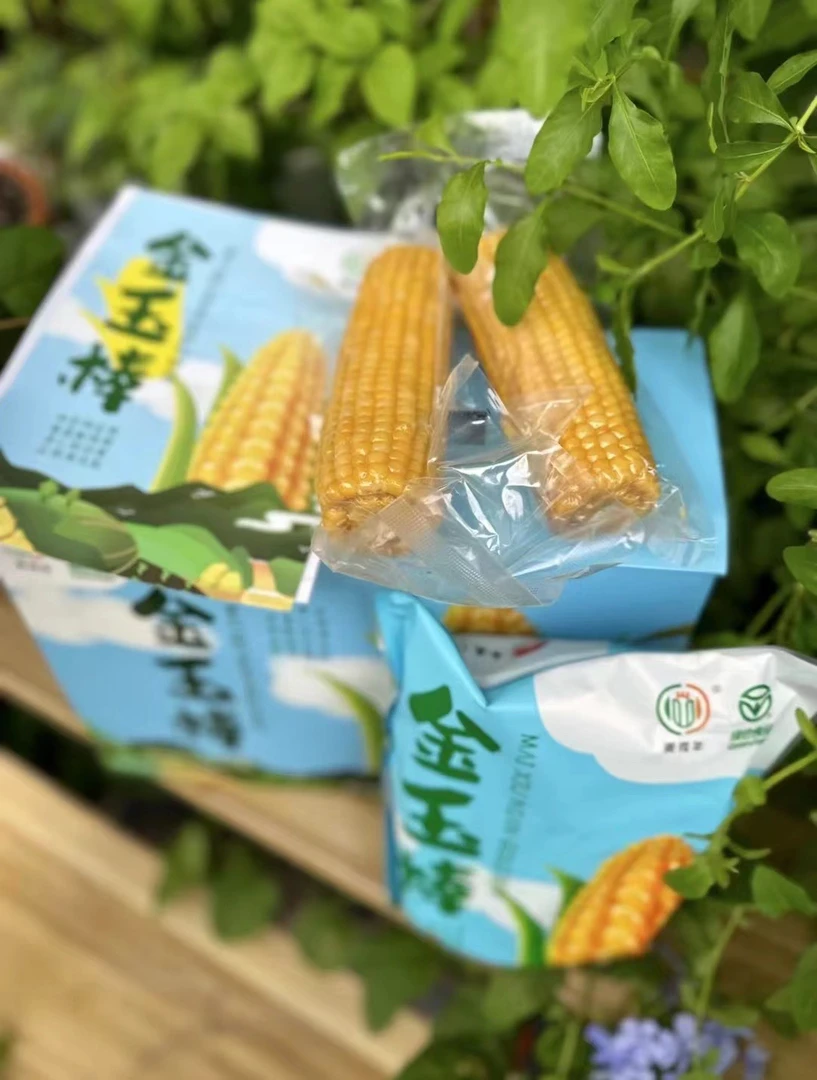 麦秀年早安大苞米线下款金玉棒新粮上市包谷棒一箱200克*10支