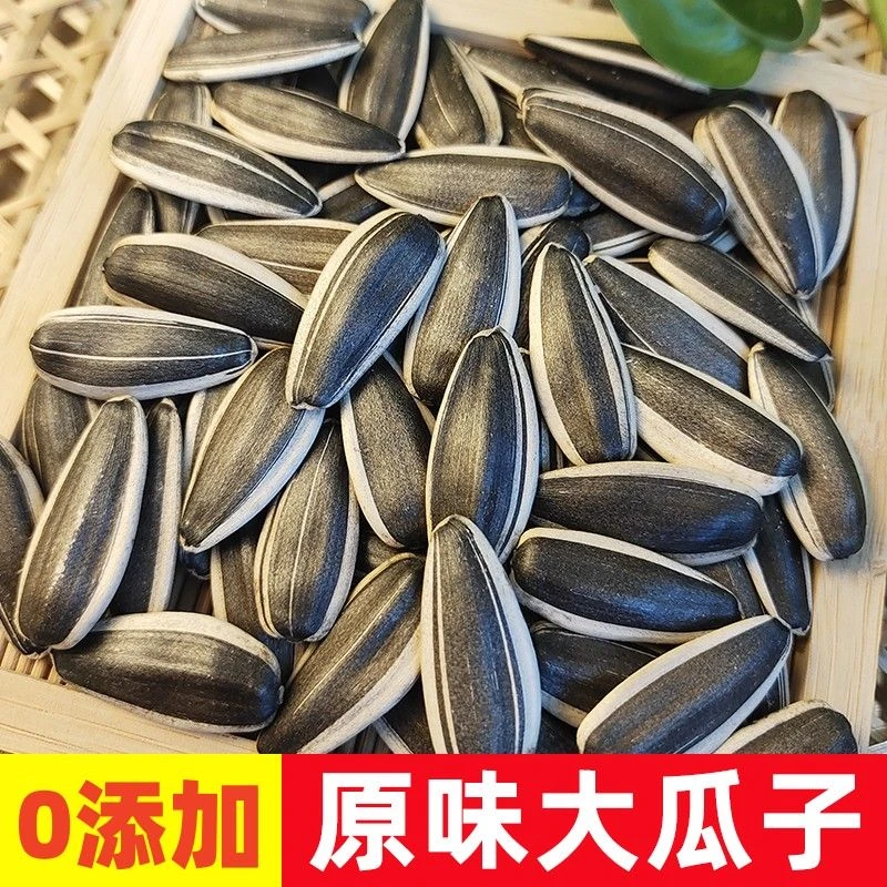 新货生瓜子现炒原味大颗粒葵花籽1斤瓜子现炒现发内蒙甘肃瓜子