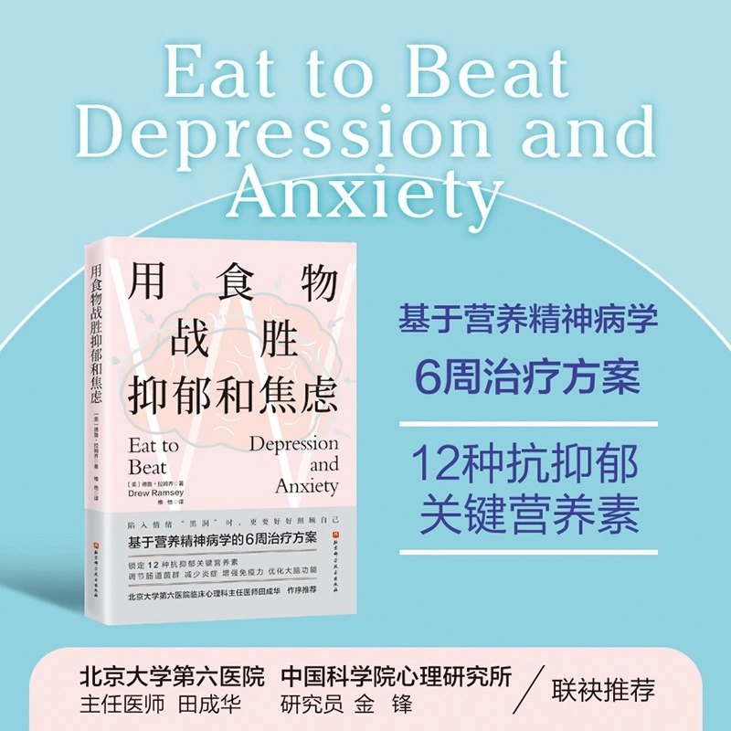 用食物战胜抑郁和焦虑  健康改善饮食食疗愈书籍