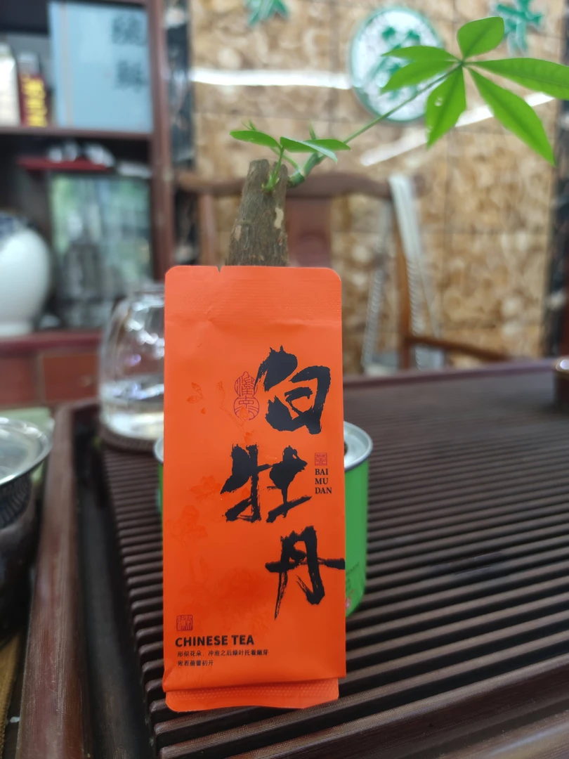 福鼎白茶 白牡丹 办公用茶 小泡袋装方便携带 6克/袋 6袋/盒