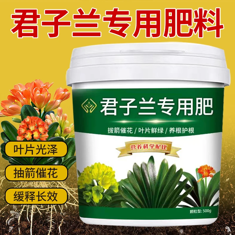 君子兰专用肥抽剑催化叶片光泽颗粒缓释长效补充颗粒有机肥料促进