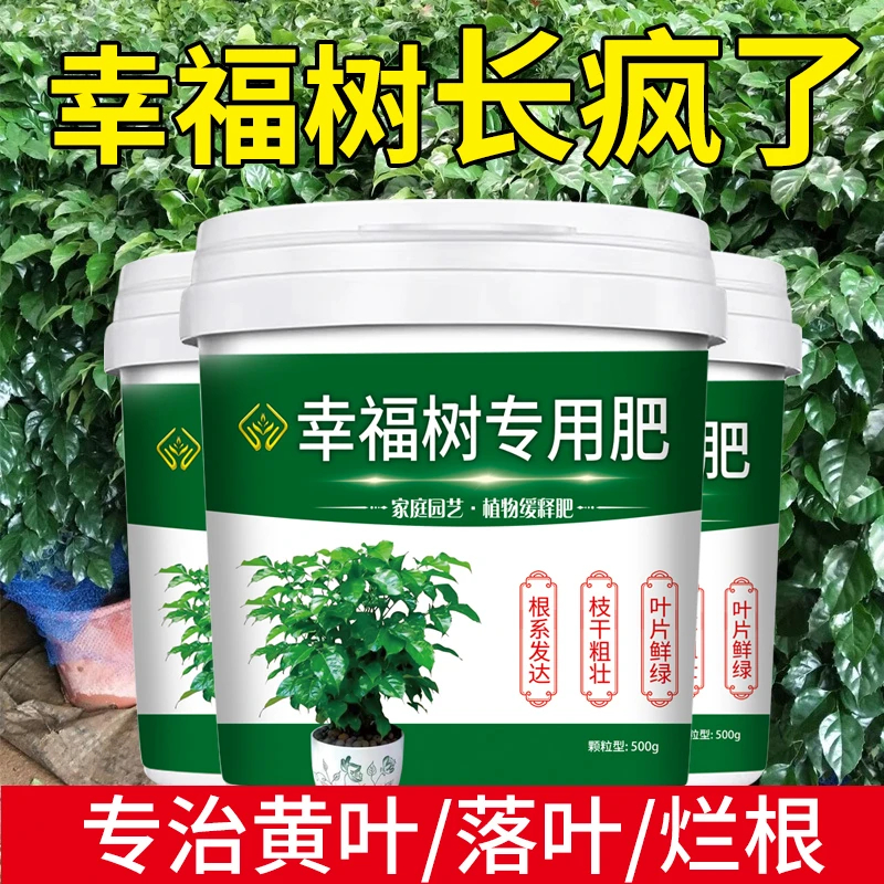 幸福树专用肥缓释肥生根壮苗防黄叶枯叶掉叶家用盆栽颗粒水溶肥料