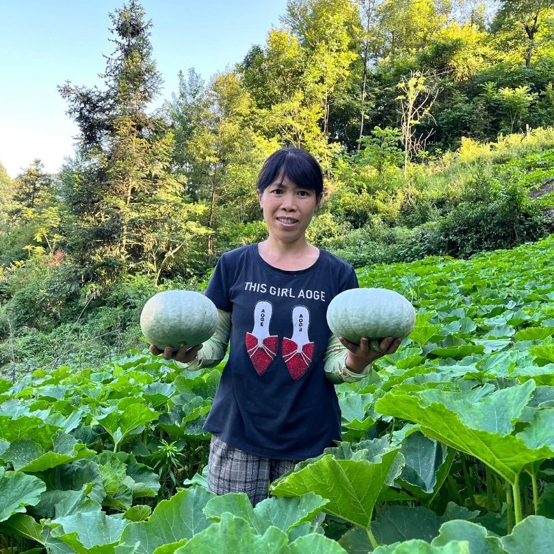 陕西岚皋高山银栗南瓜5斤农家自种板栗味老南瓜粉面香糯辅食蔬菜