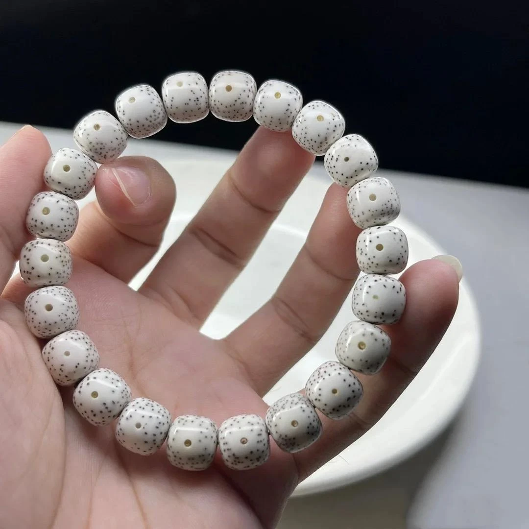 天然原生态海南毛料星月菩提手串单圈皮高密正星月男女文玩