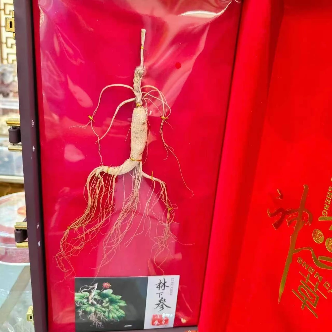 45红/咖皮盒长白山林下山参泡酒煲汤滋补营养送礼必备高品质包邮