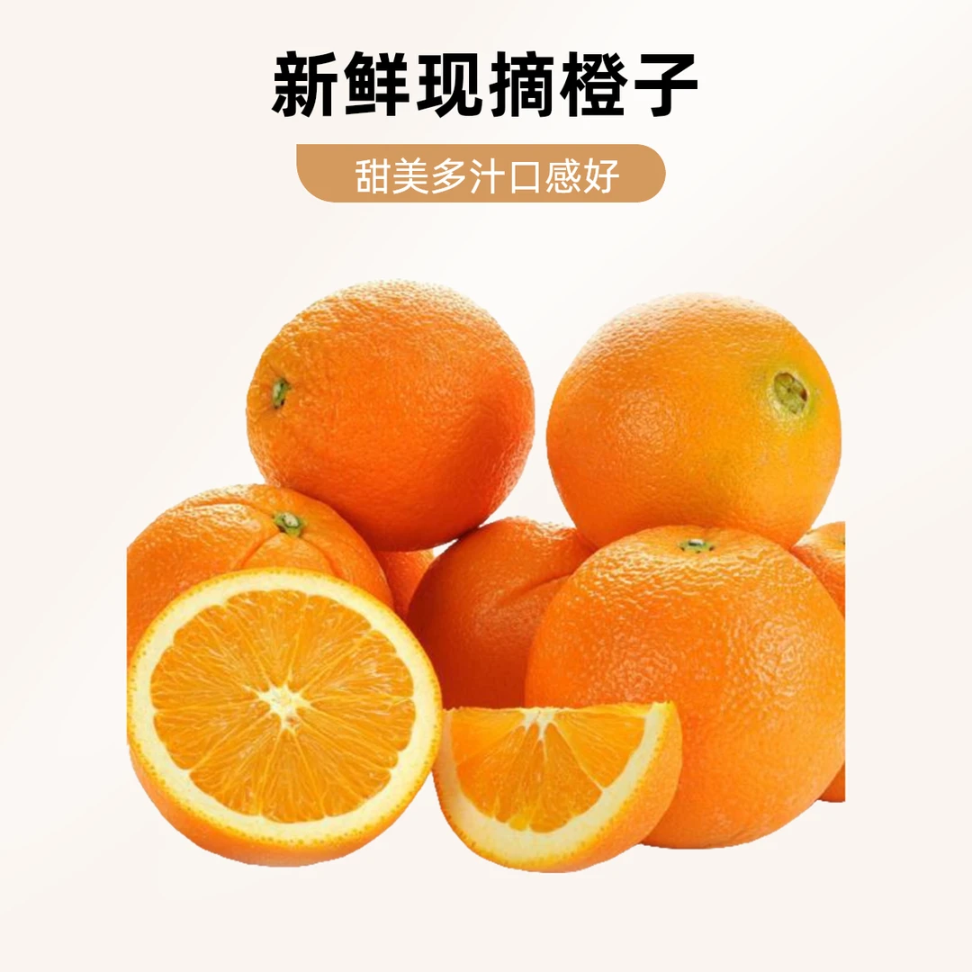 赣南脐橙（5斤装）