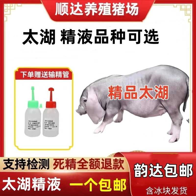 太湖精液一件包邮包对版养殖场专用精品发货