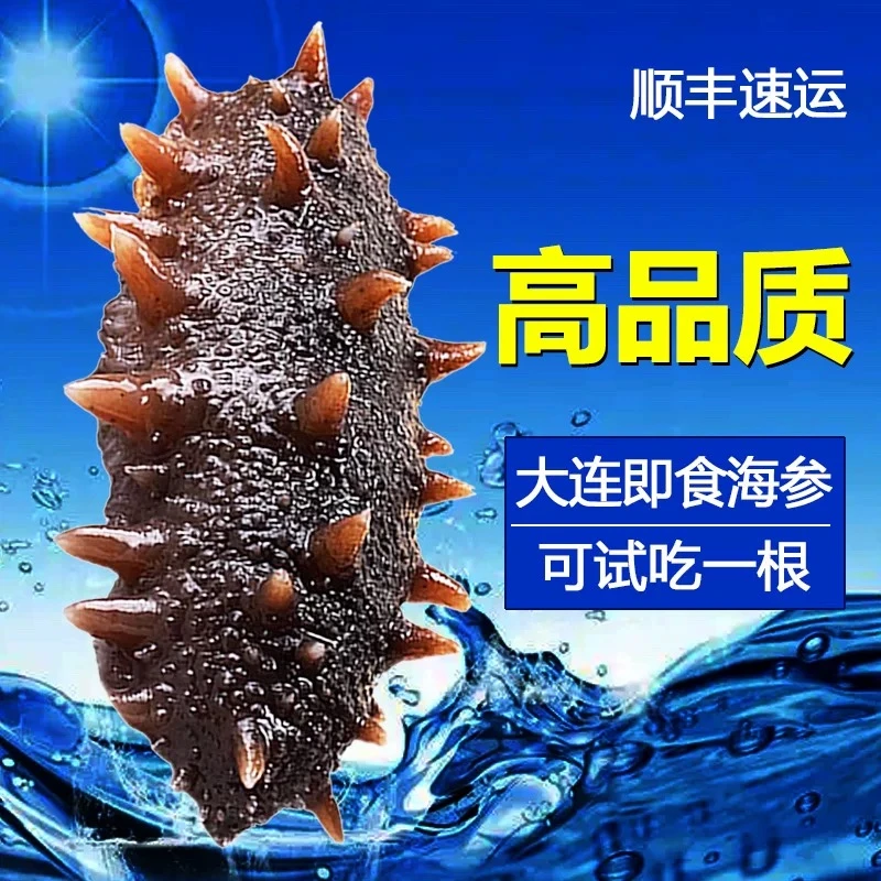 大连海参即食辽刺参