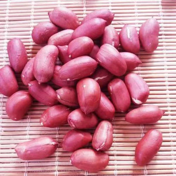 【红皮】干花生米 300g新鲜