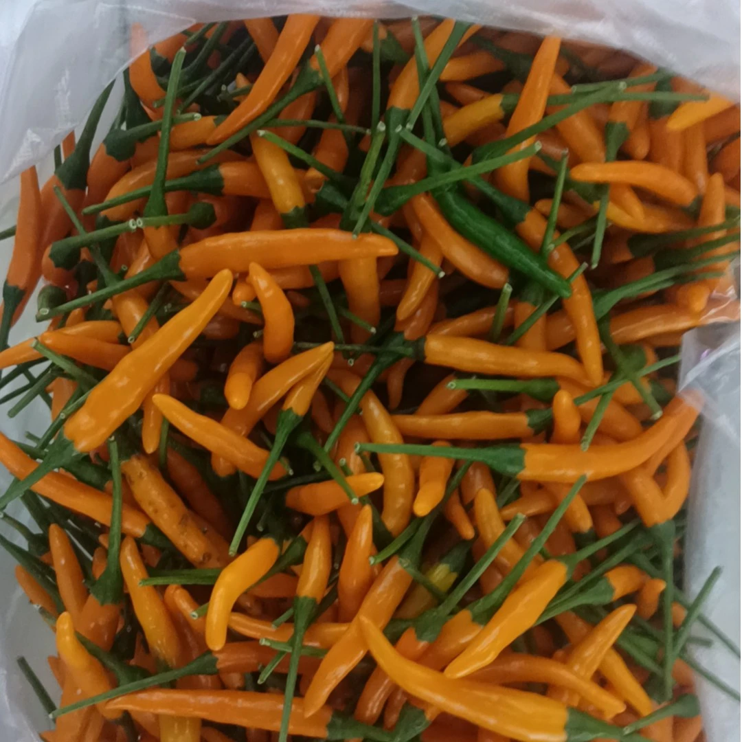 黄色小米辣100g