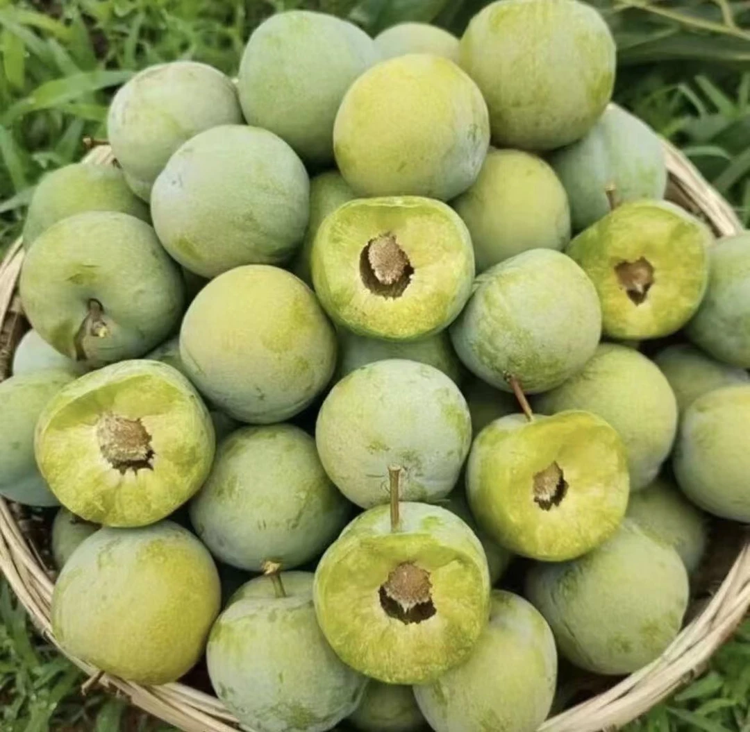 蜂糖李500g