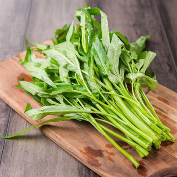 【新鲜柔嫩】空心菜 300g~500g绿色蔬菜