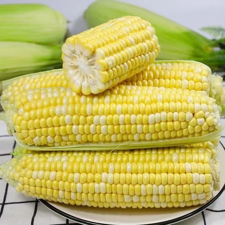 【甜脆】水果玉米500g~1kg（一公斤的更划算哦！)新鲜