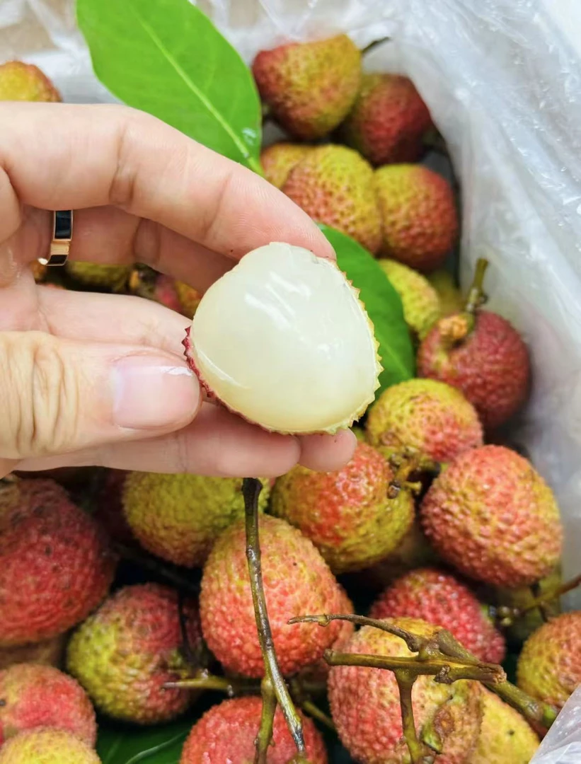 海南【小核】妃子笑荔枝400g（带梗）新鲜