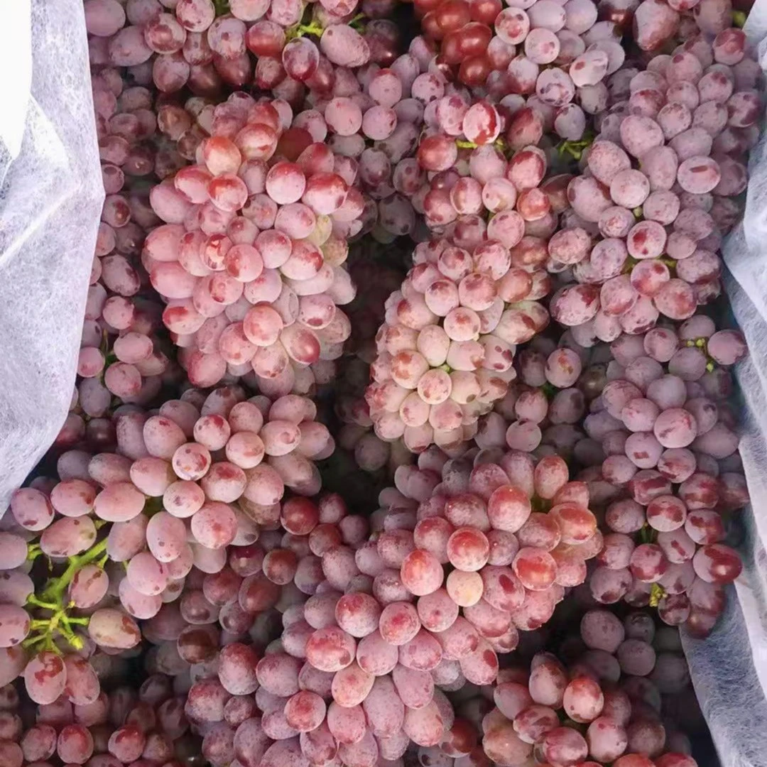 【甜度高】茉莉香葡萄 1kg