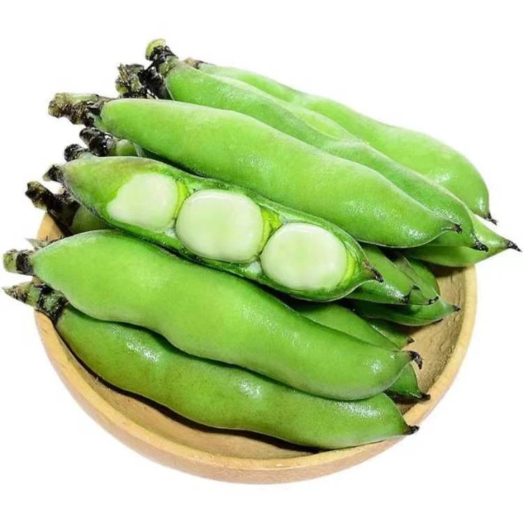 【新鲜现摘】带壳蚕豆 500g